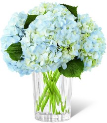 The FTD Joyful Inspirations Bouquet by Vera Wang from Backstage Florist in Richardson, Texas